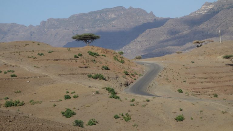 一天種下3.5億棵樹！衣索比亞綠色計畫創下世界紀錄