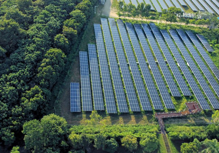 不砍一棵樹！奇美花五倍時間蓋出最「綠」太陽能電廠！