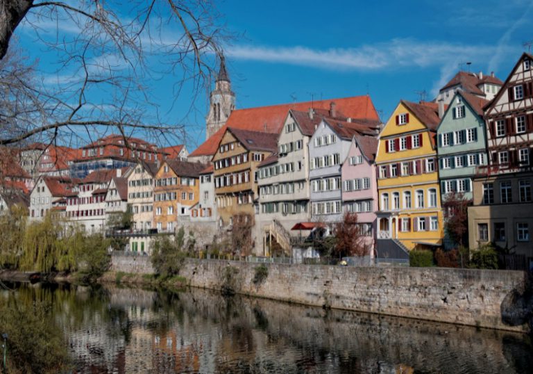 被麥當勞告也要環保！德國素食城市杜賓根「去包裝」成最綠典範